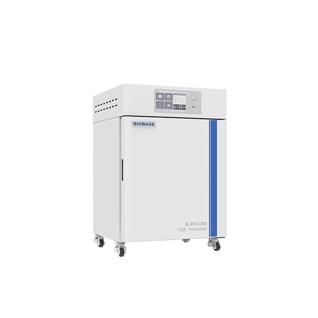 CO2 Incubator(BJPX-C)