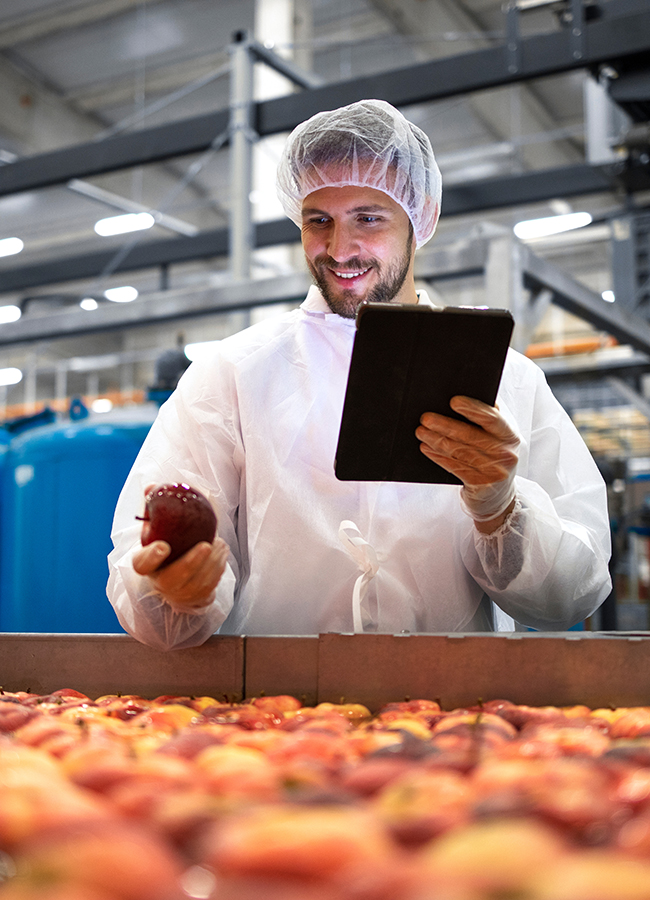 Technologist doing quality control of apple fruit production in